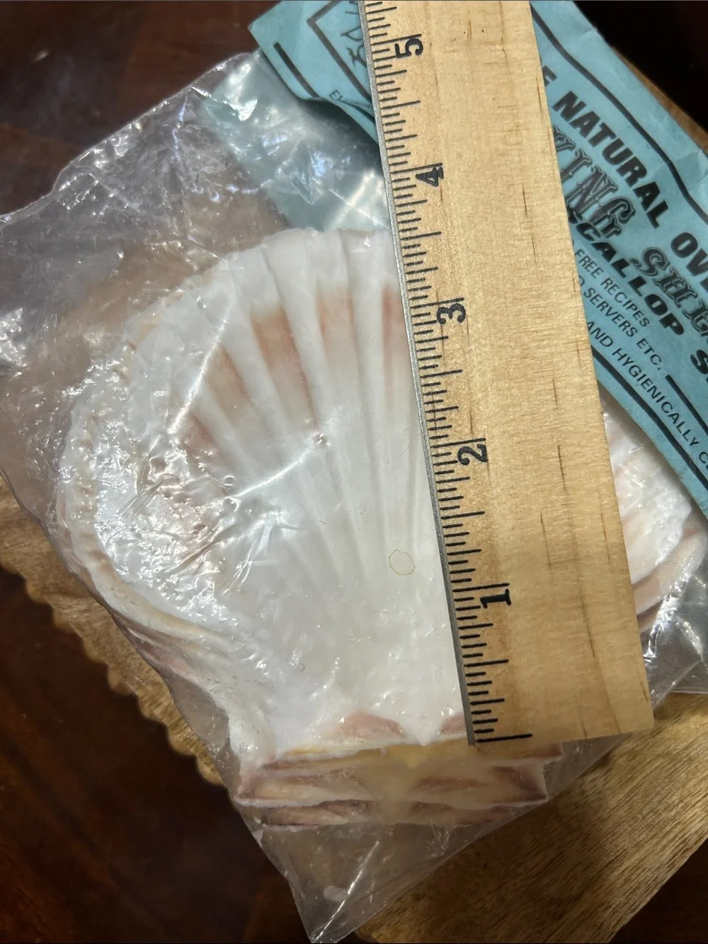 Set of Natural Ovenproof Baking Shells 1970’s (NOS) Sealed Package of 4 Scallop